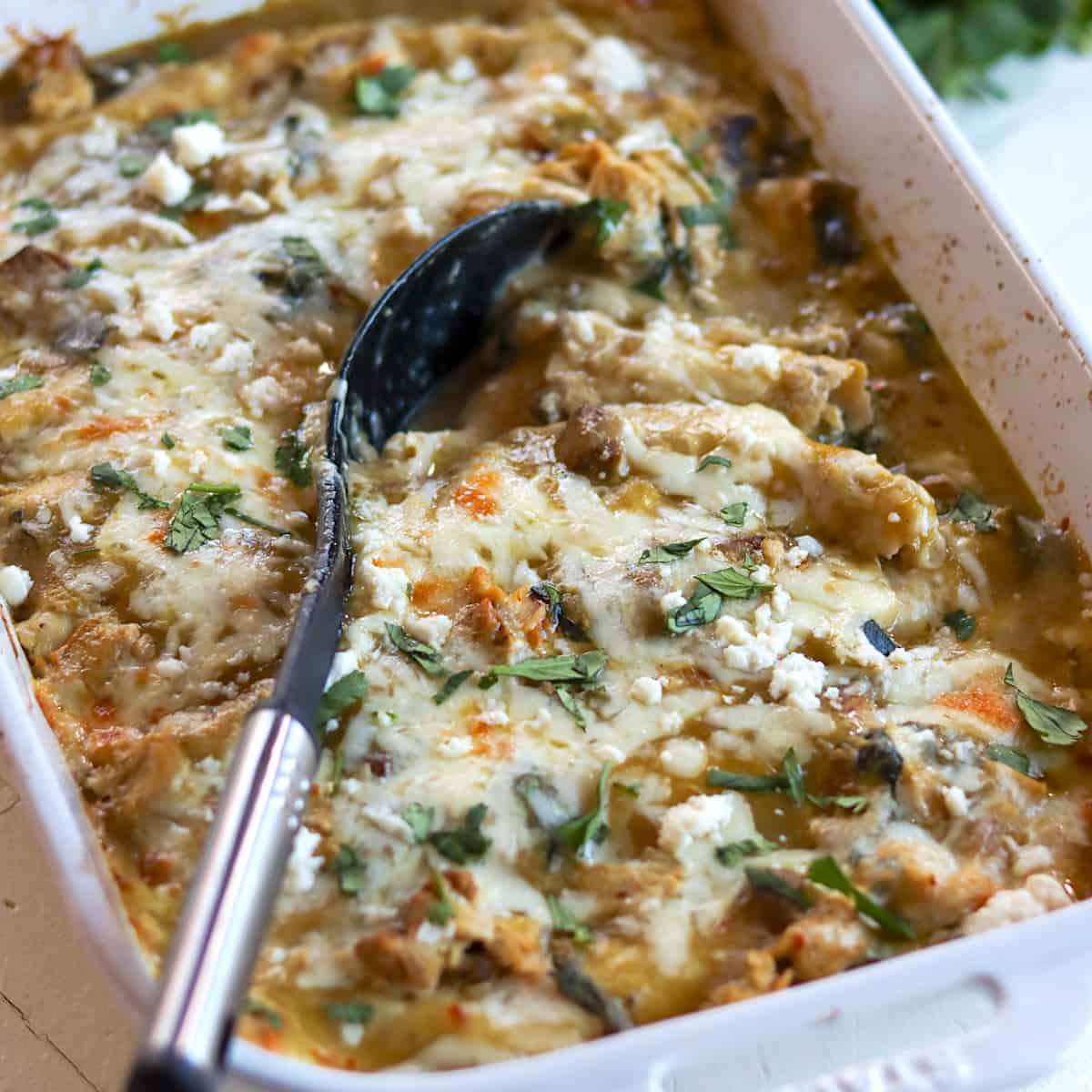 Green enchiladas in a casserole dish with melted cheeese and garnished with fresh cilantro.